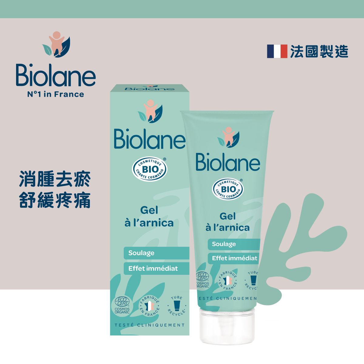 Biolane 山金車消腫去瘀凝膠 20 ml (F&F)